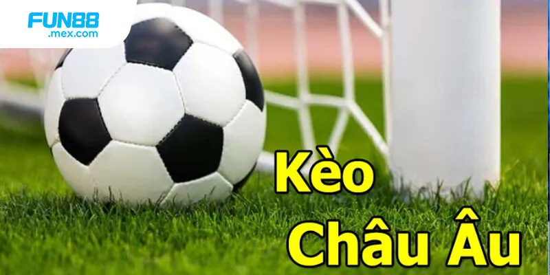 Sai lầm từ tân binh Sai lầm từ tân binh