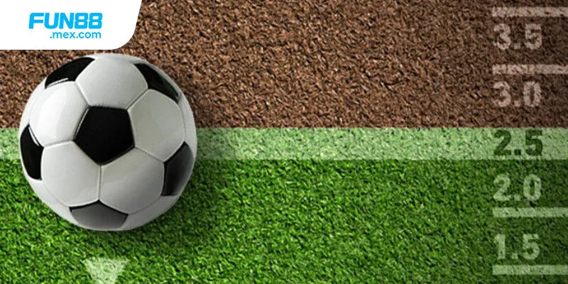 Bạn nên phân tích phong độ